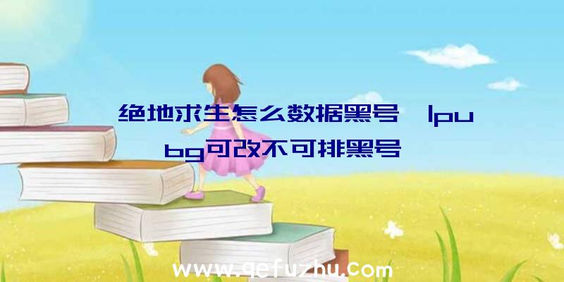 「绝地求生怎么数据黑号」|pubg可改不可排黑号